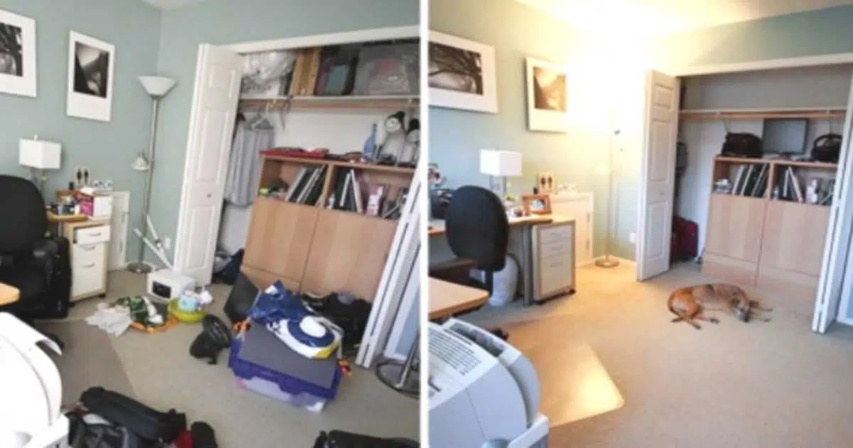 The Magic Of Tidying Up: How To Declutter And Organize The House