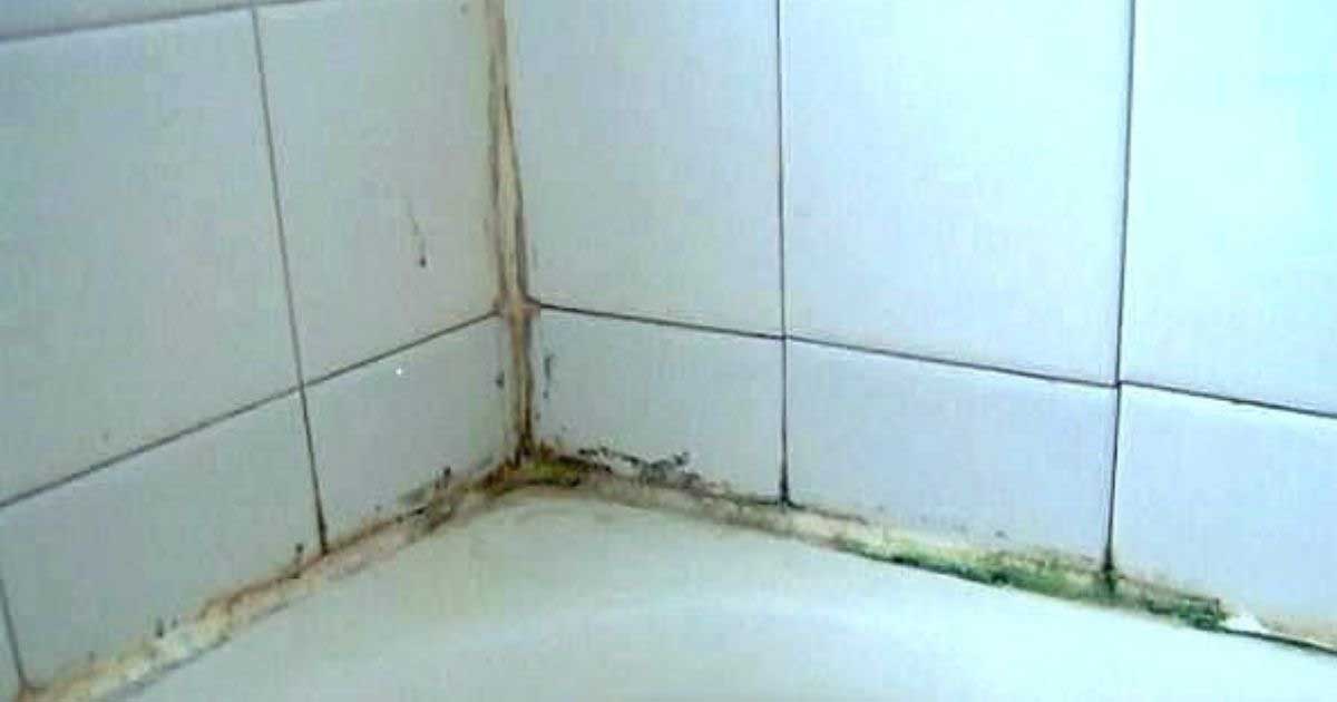 Mildew Stains From Shower Caulking, How To Clean Mold From Bathtub Caulking