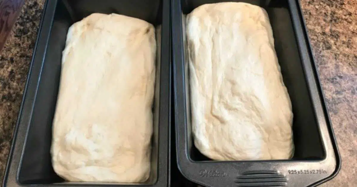 How To Make Soft, Fluffy Bread With Just 2 Ingredients