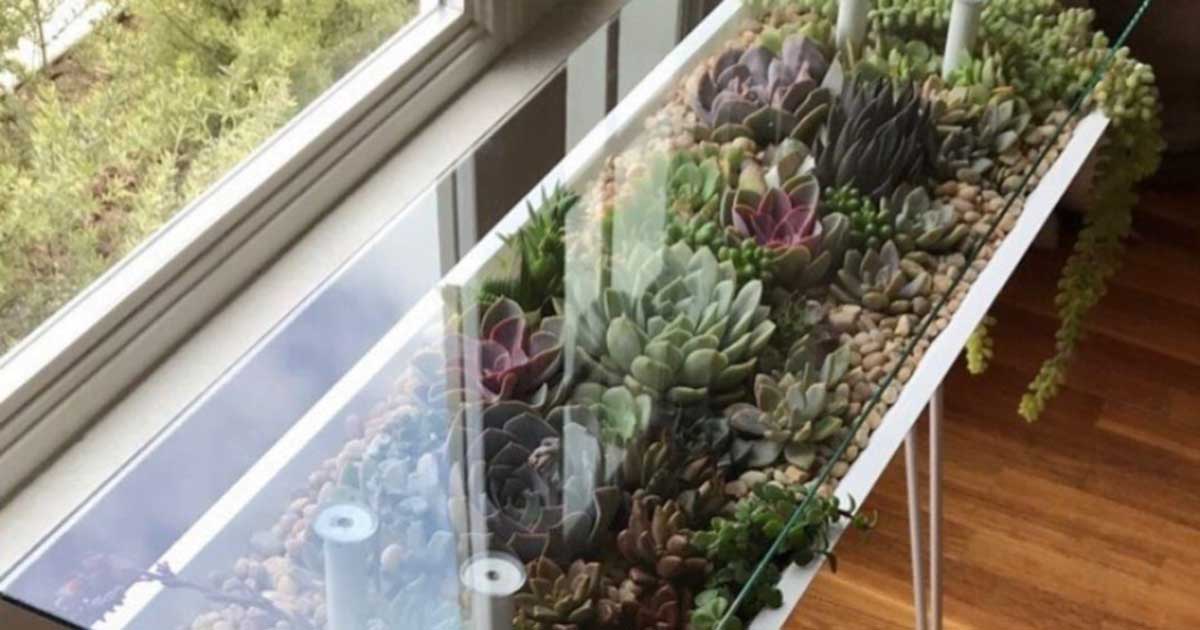 BloomingTables – Unique Way To Show Off Your Plants