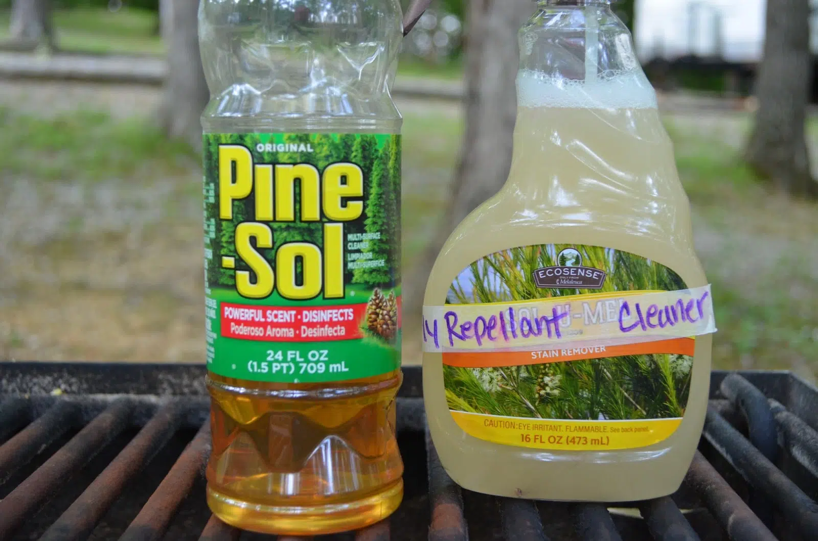 How To Make A Powerful DIY Fly Spray