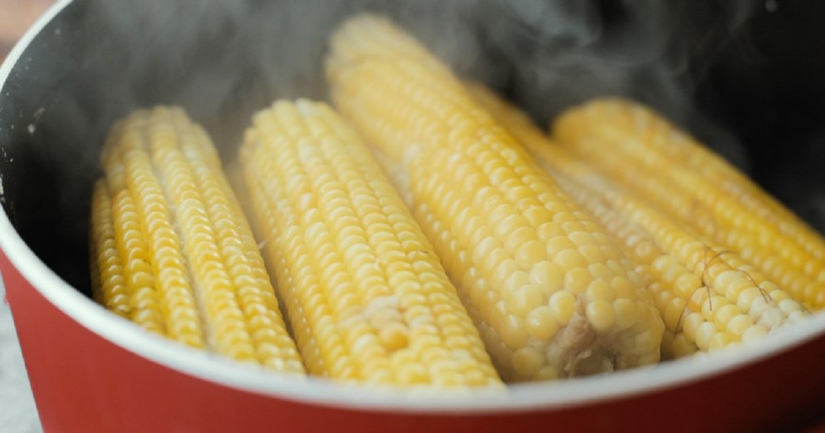 How Long To Boil Corn On The Cob So It S Perfectly Cooked Homemaking   Corn 1 