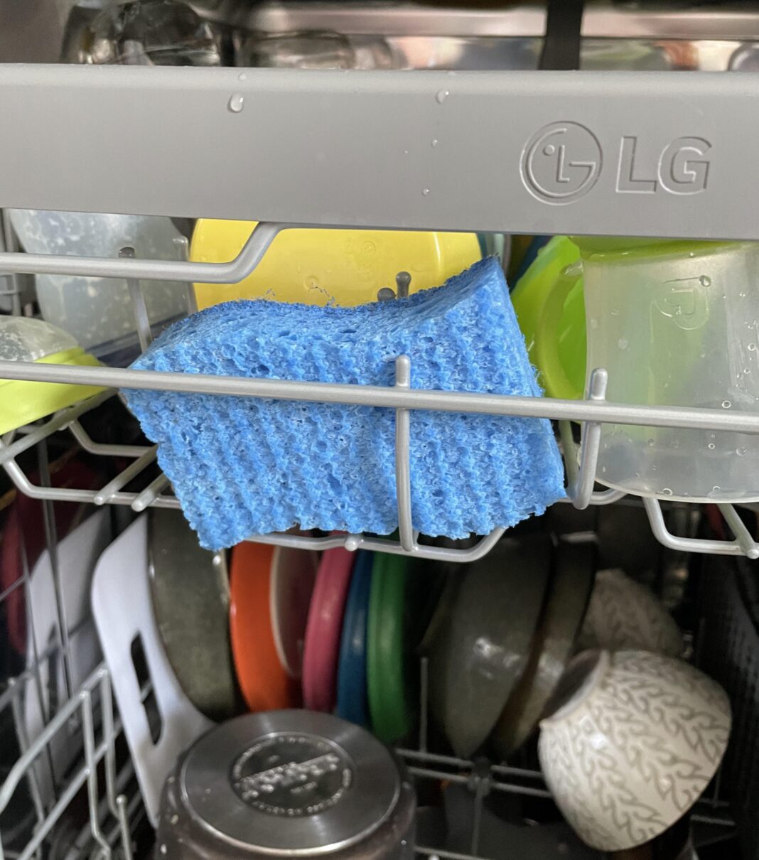Dish sponge in washer and dishwasher