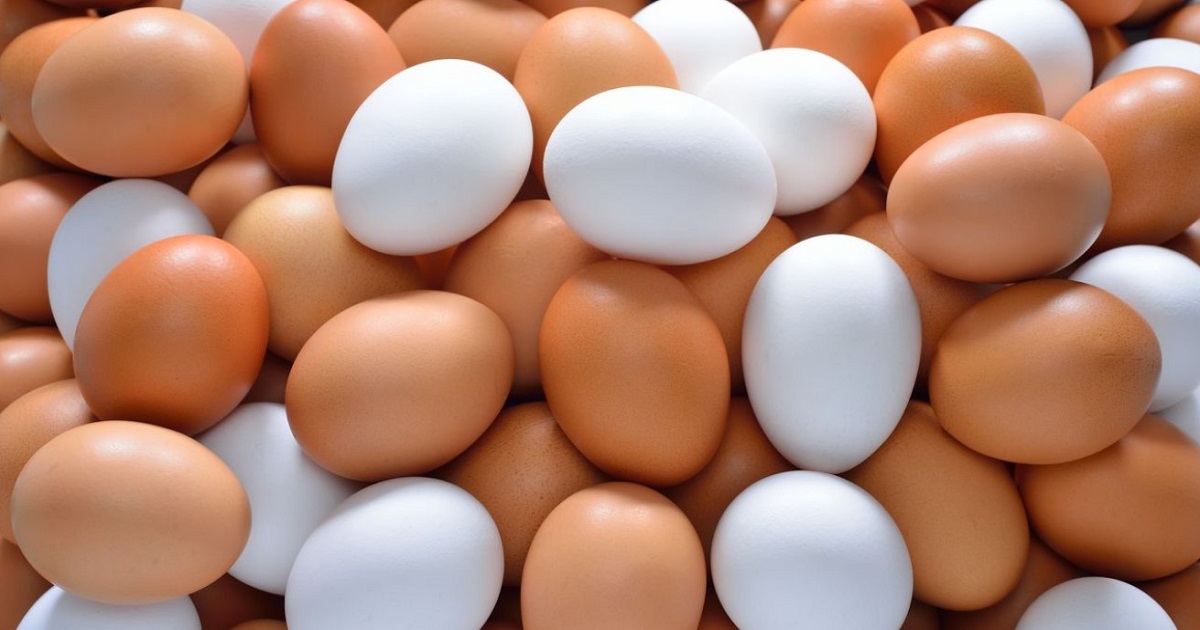 Why Brown Eggs Are More Expensive Than White Ones
