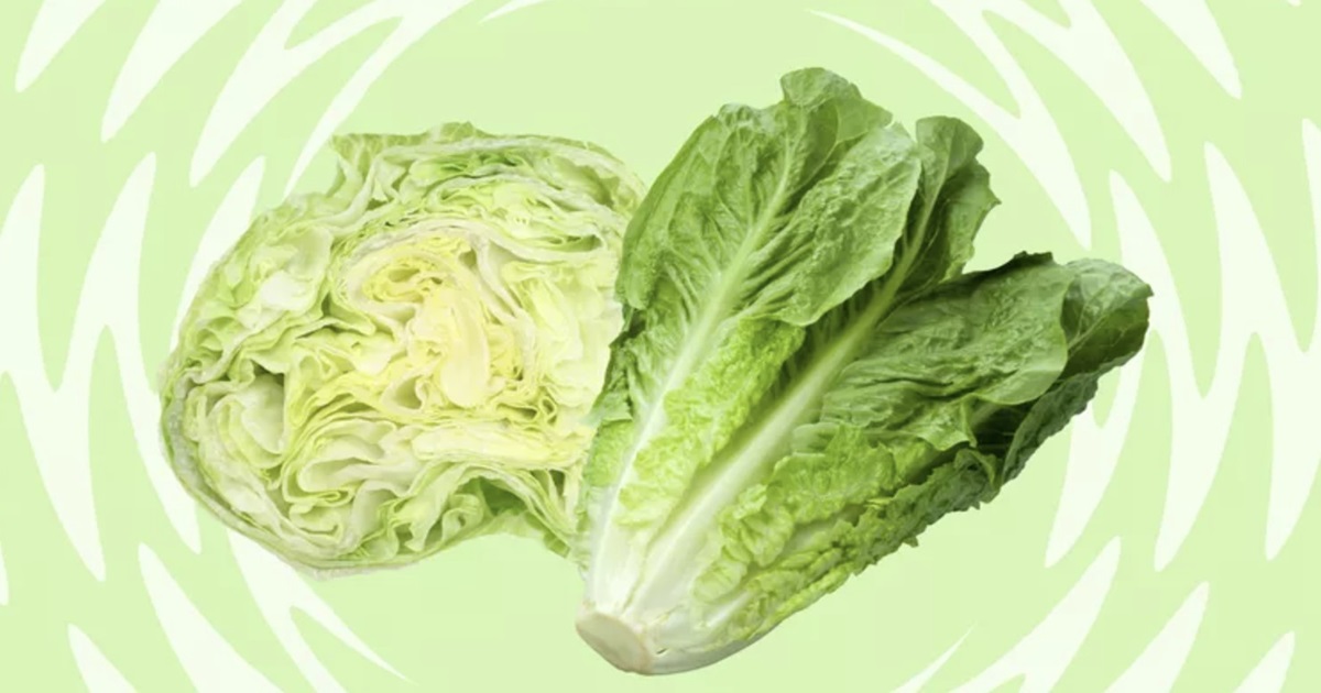 Iceberg vs. Romaine – What’s the Difference?