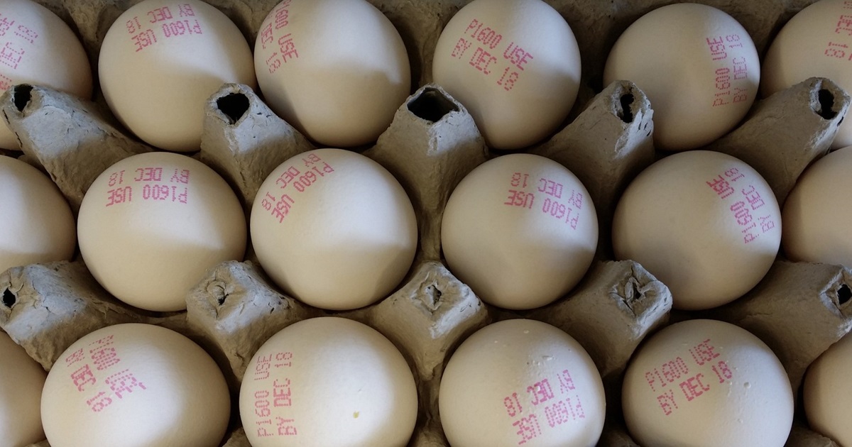 Why Inspecting Your Egg Carton Matters
