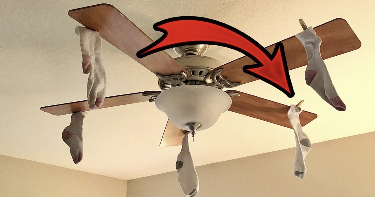 Why You Should Put Socks on Your Ceiling Fan Immediately