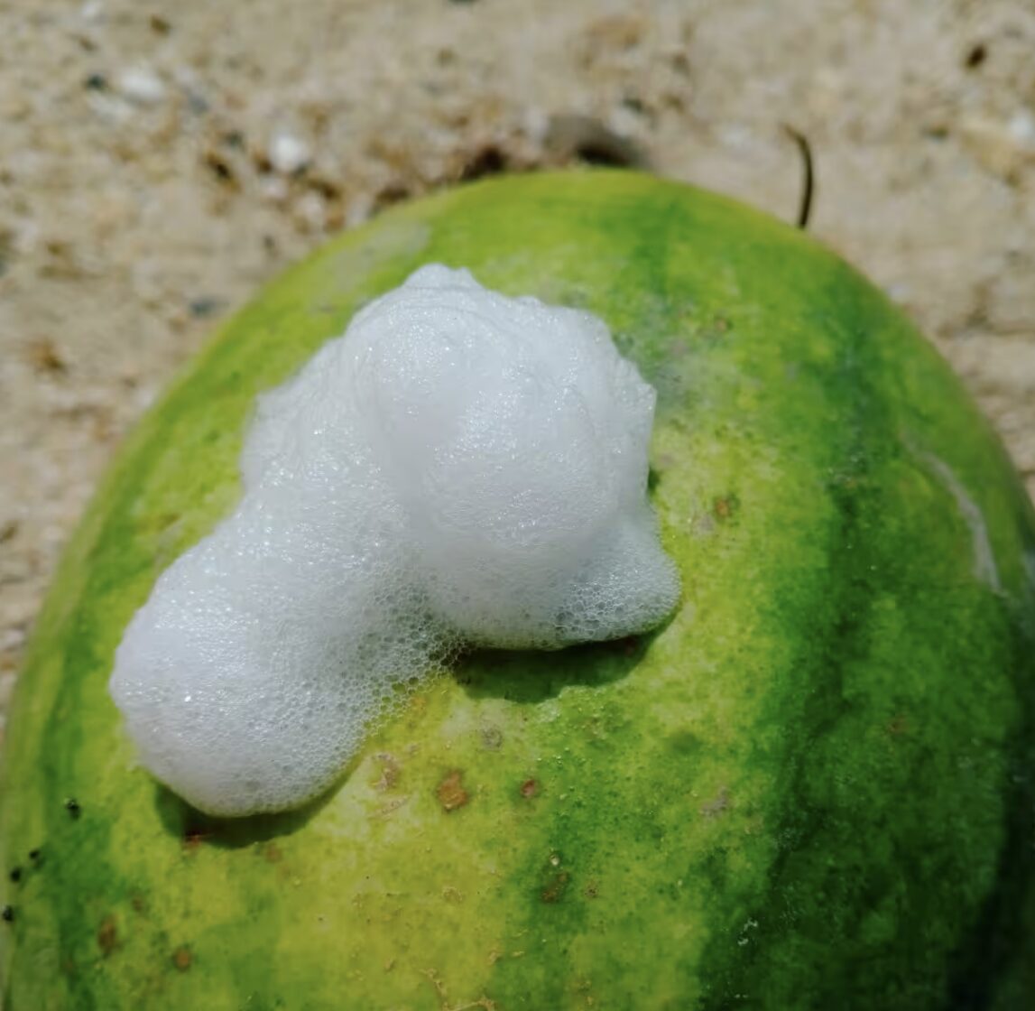 foaming watermelon