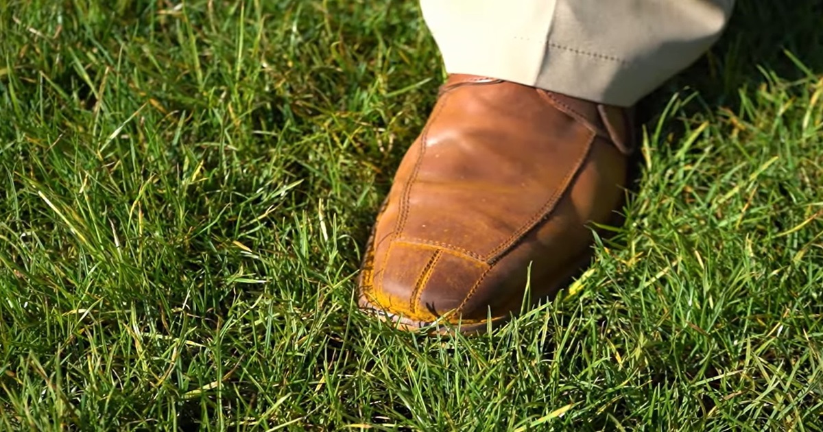 Why Your Shoes Turn Orange— And the Serious Problem Behind It