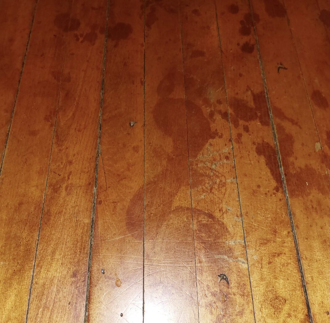Footprints Discovered During Floor Renovation