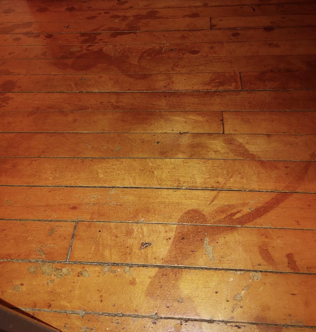 Footprints Discovered During Floor Renovation