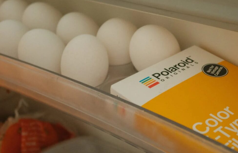 spoiled eggs in a fridge