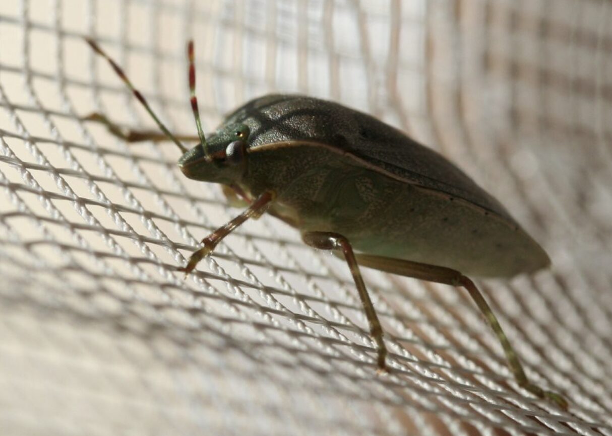 Why You Should Put Luggage in Your Hotel Room’s Bathtub