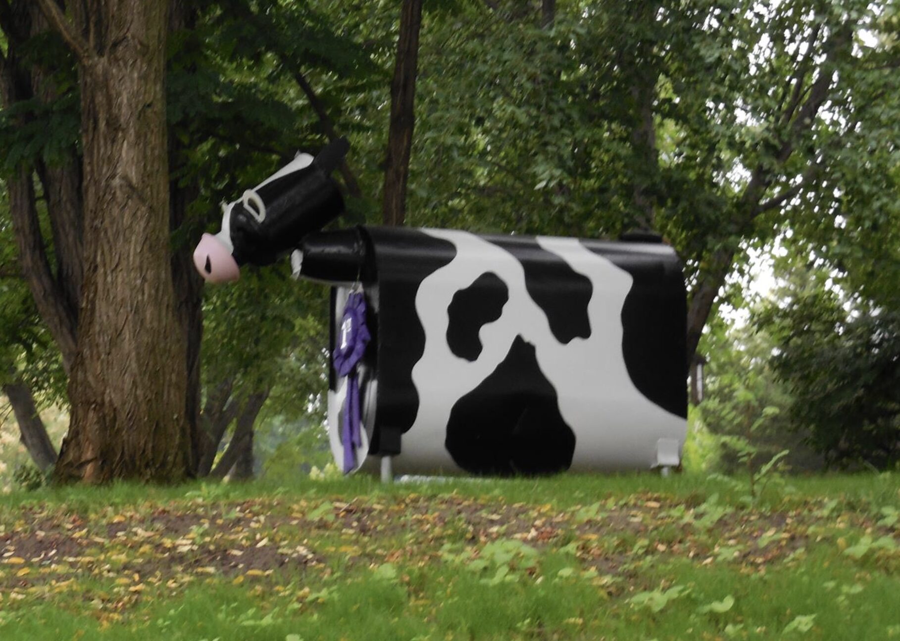 an abandoned fuel oil tank cow shaped