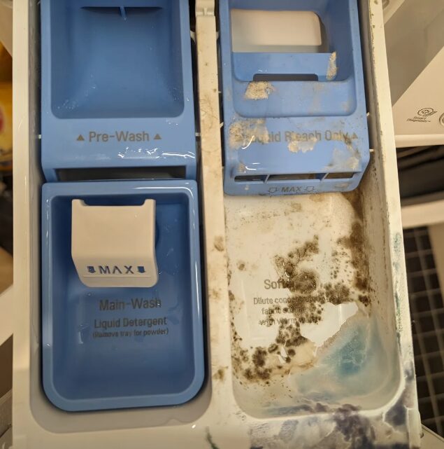 mold in a washing machine