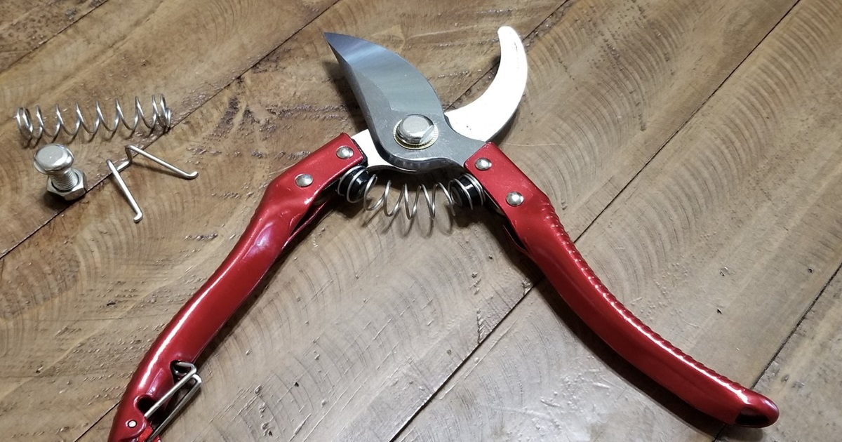 How to Clean and Sharpen Pruning Shears