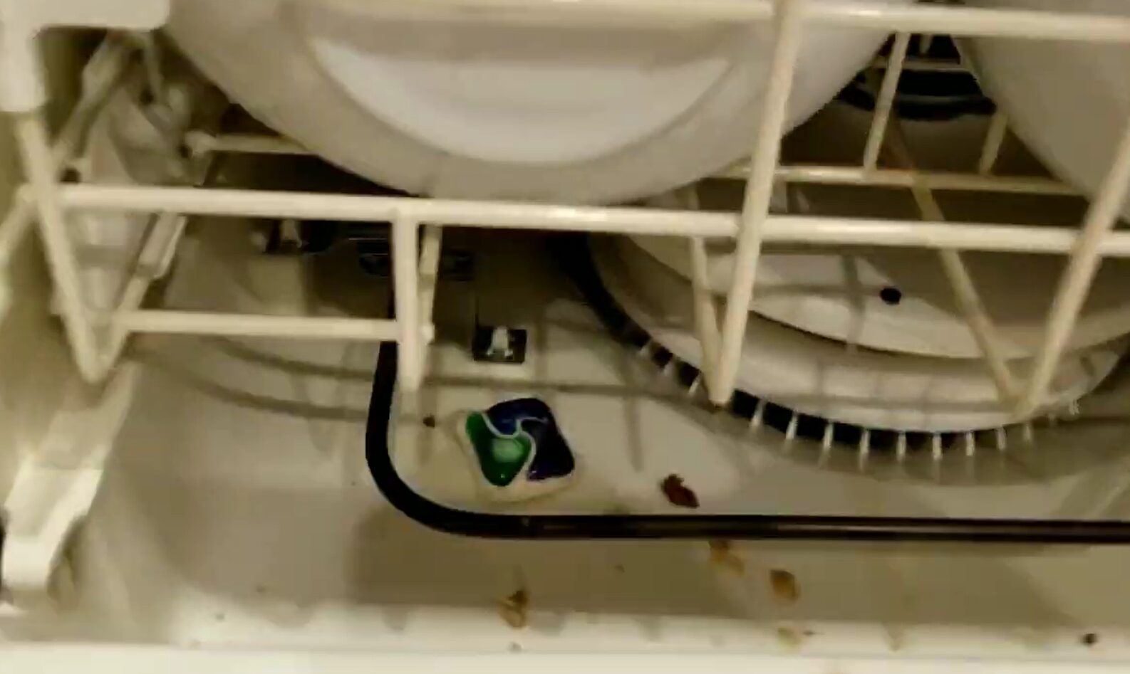 Best place for dishwasher pods