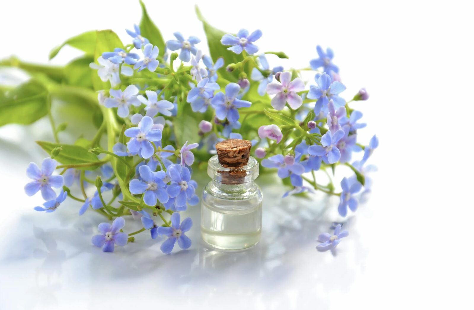 toilet paper hack oil