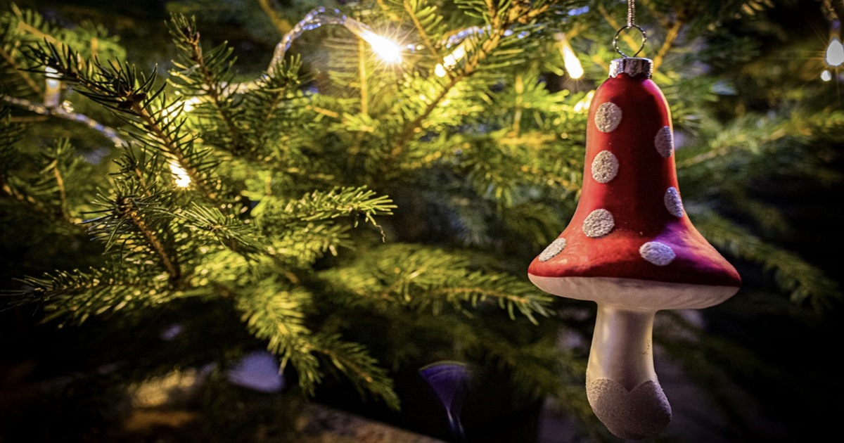 10 Fun Christmas Traditions You’ll Want to Try