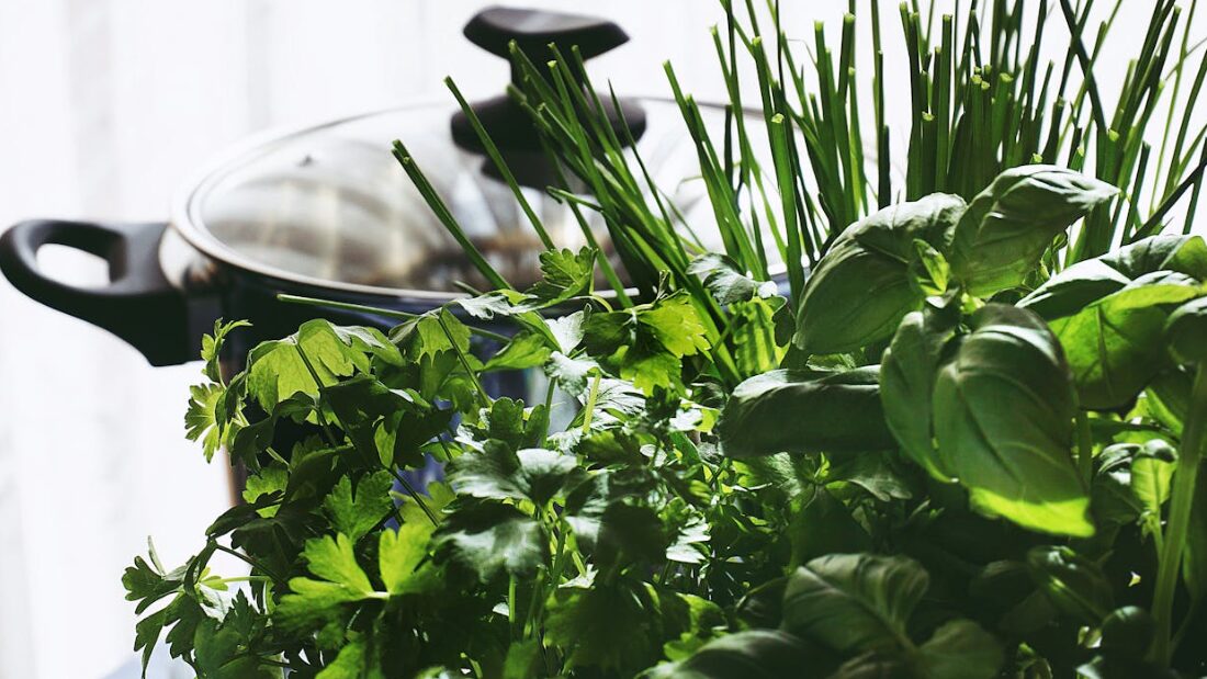 parsley and coriander fresh