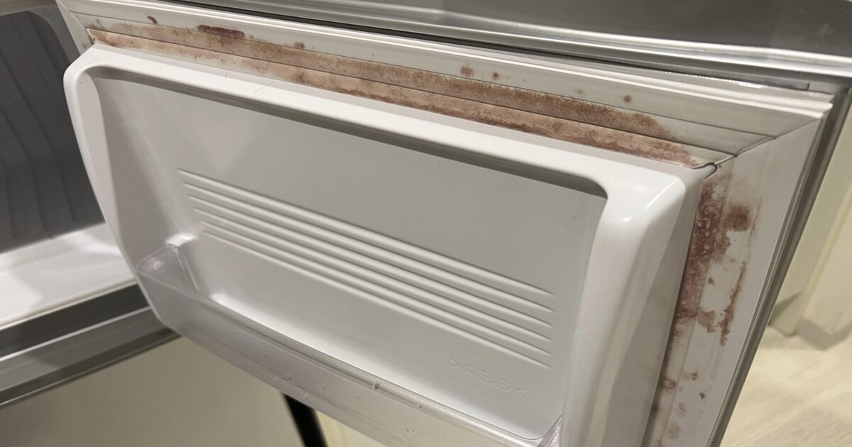 How to Clean Black Mold on Refrigerator Gasket in Minutes