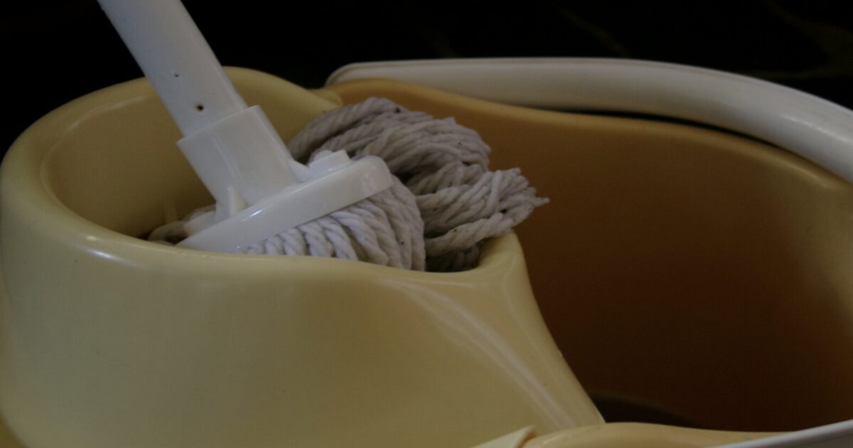 Add This to the Water for a Dust-Free Floor All Week