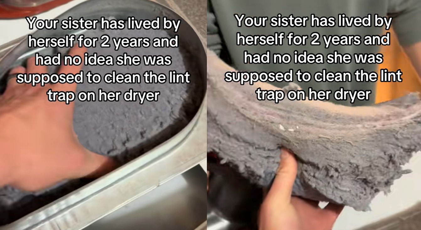dryer's lint trap