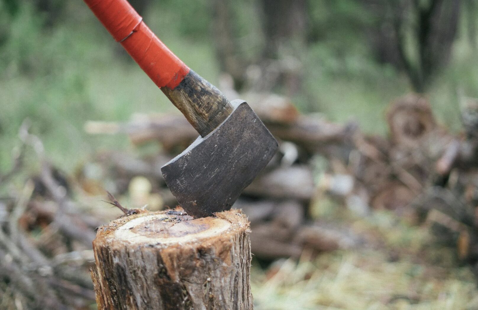 Get Rid of a Tree Stump