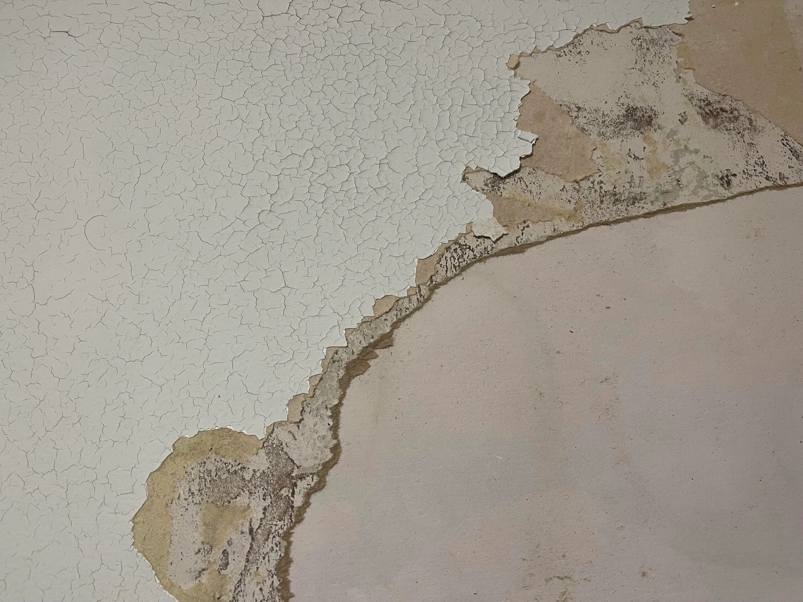 peeling walls