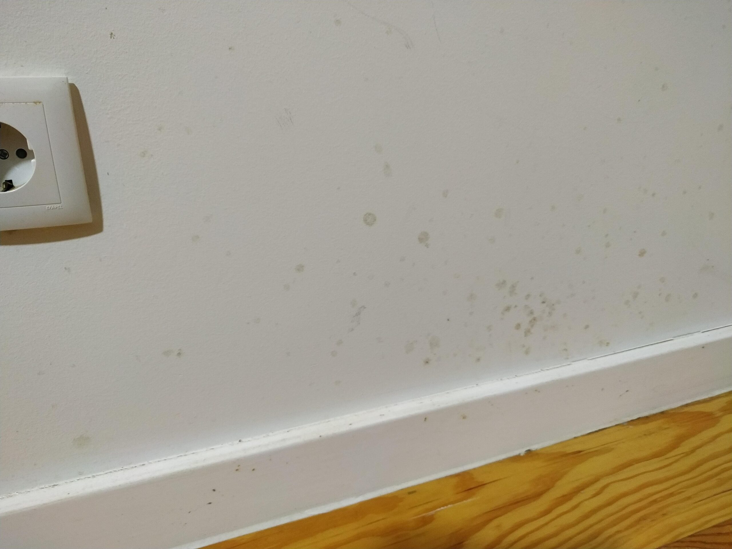 fix moldy or peeling walls