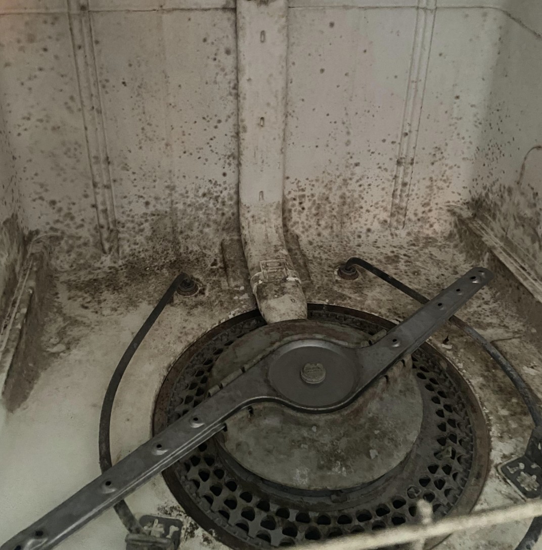 dirty dishwasher