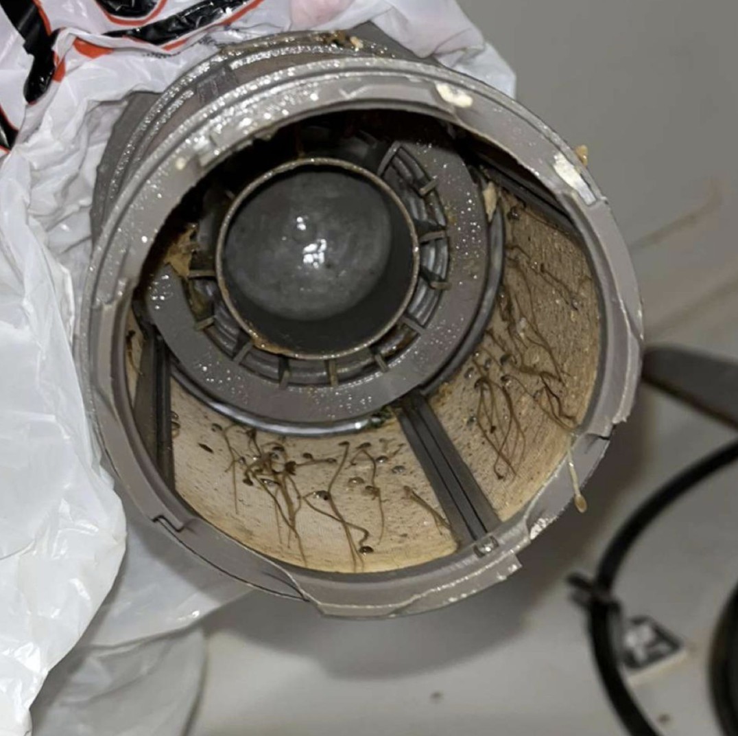 mold in a dishwasher?