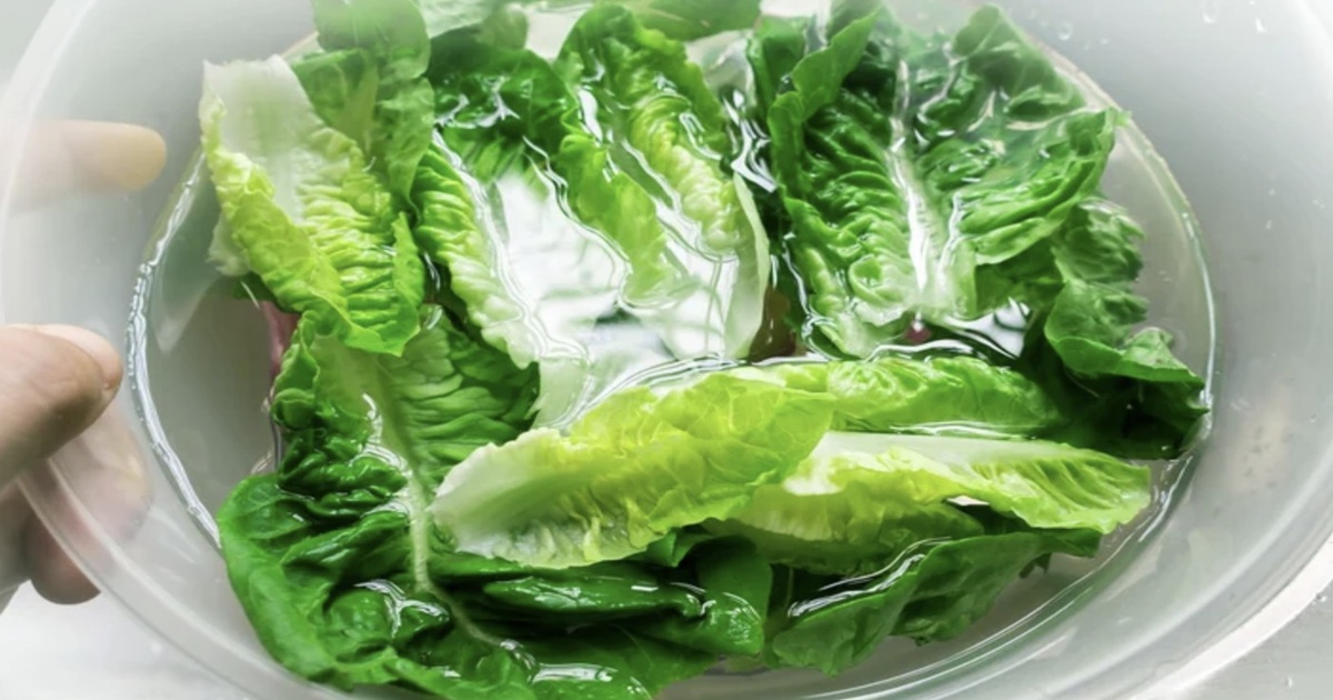 How to Fix Wilted Lettuce with This Simple Hot Water Trick
