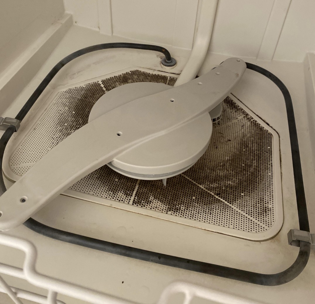 possible mold in a dishwasher