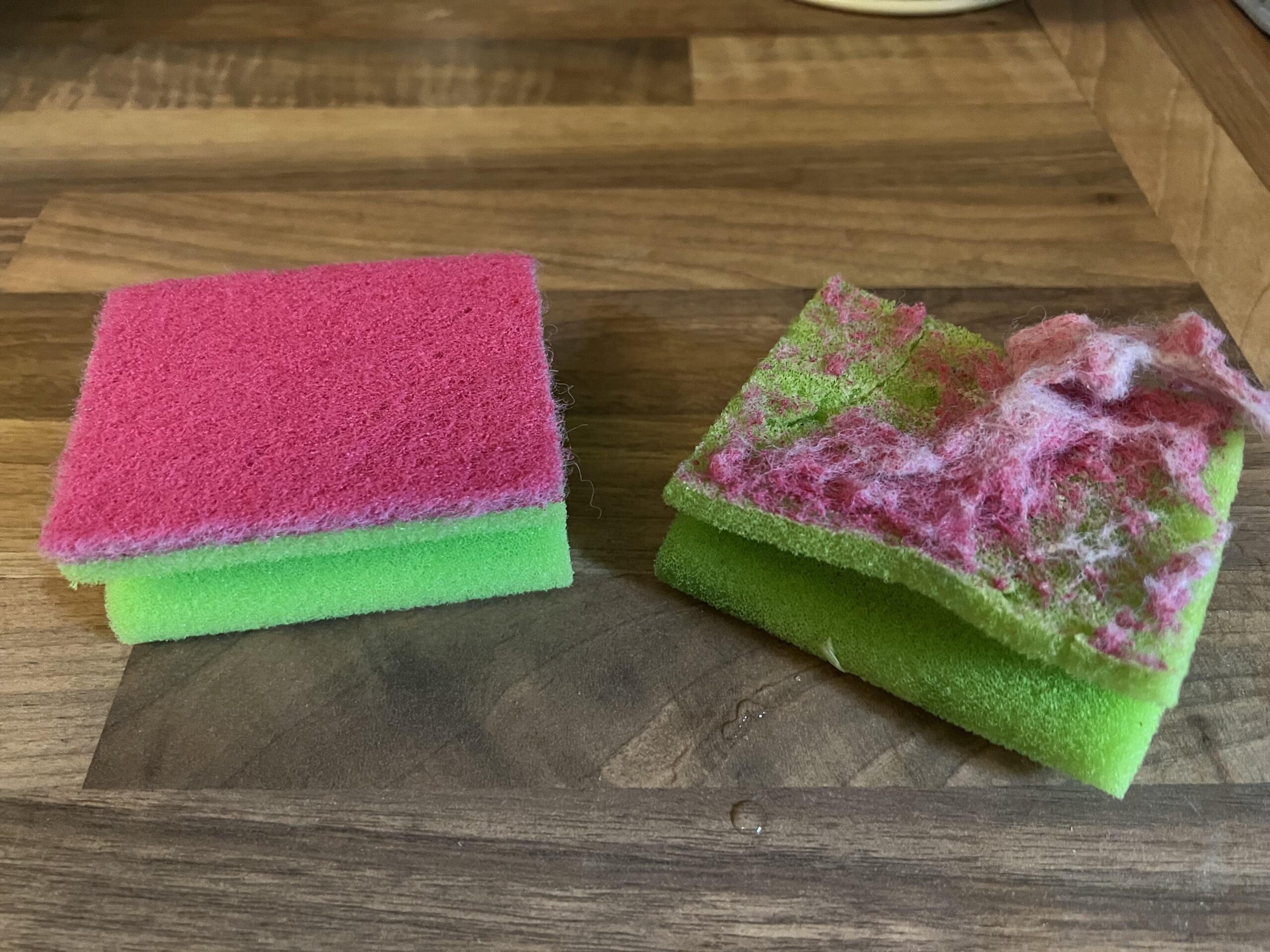 old sponges