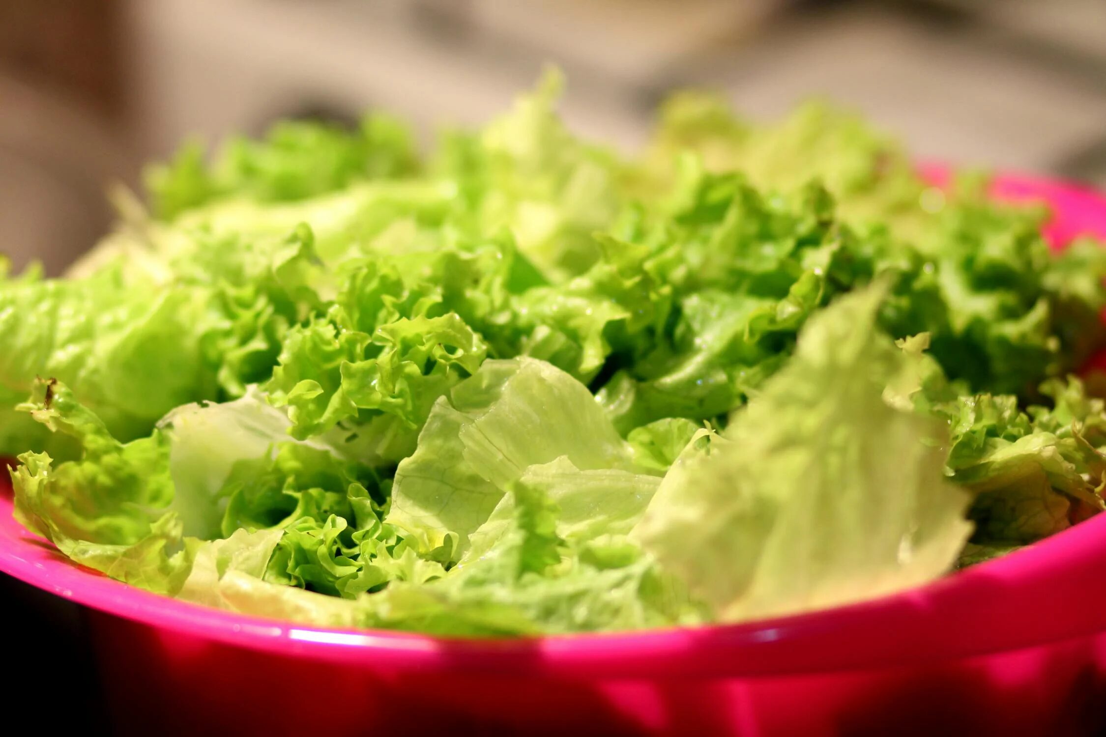 Fix Wilted Lettuce