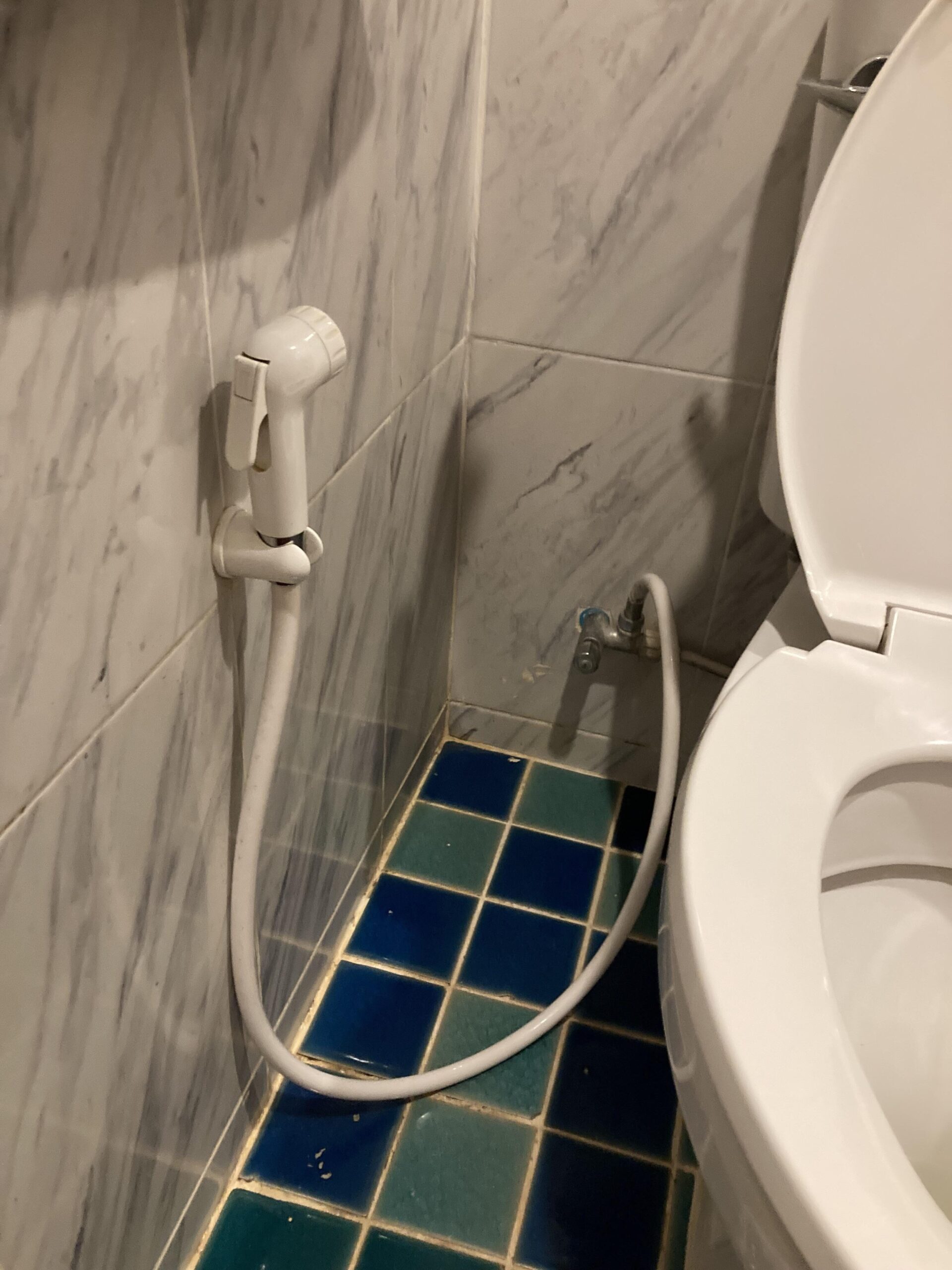 white bidet