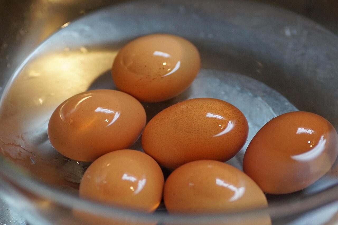 eggs in water