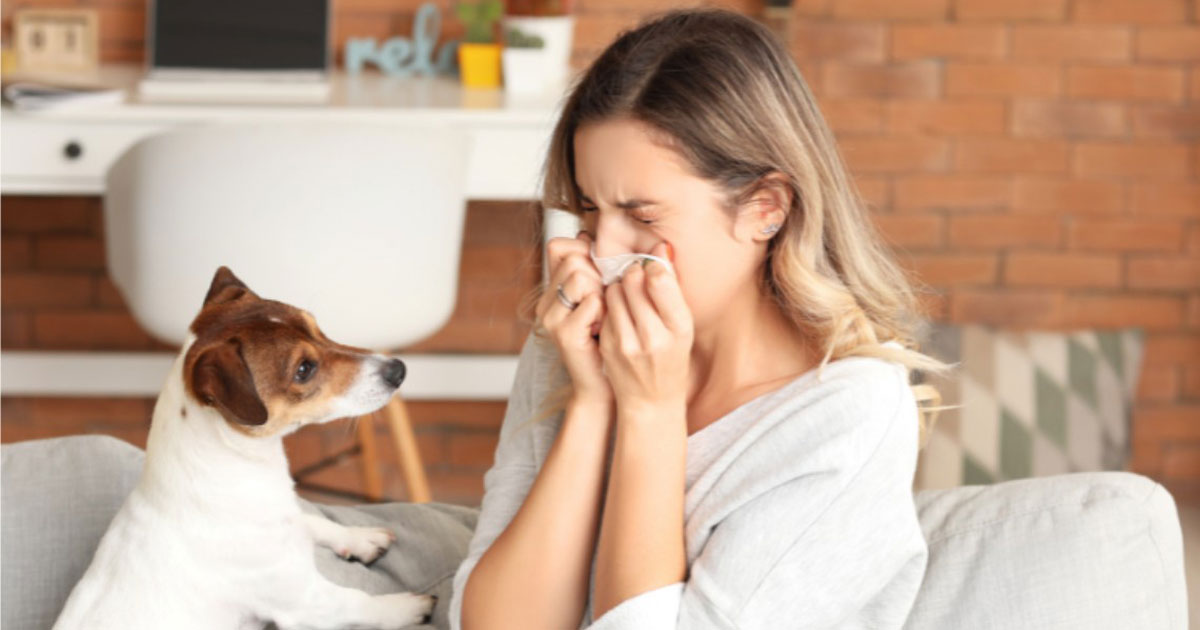 pet allergy