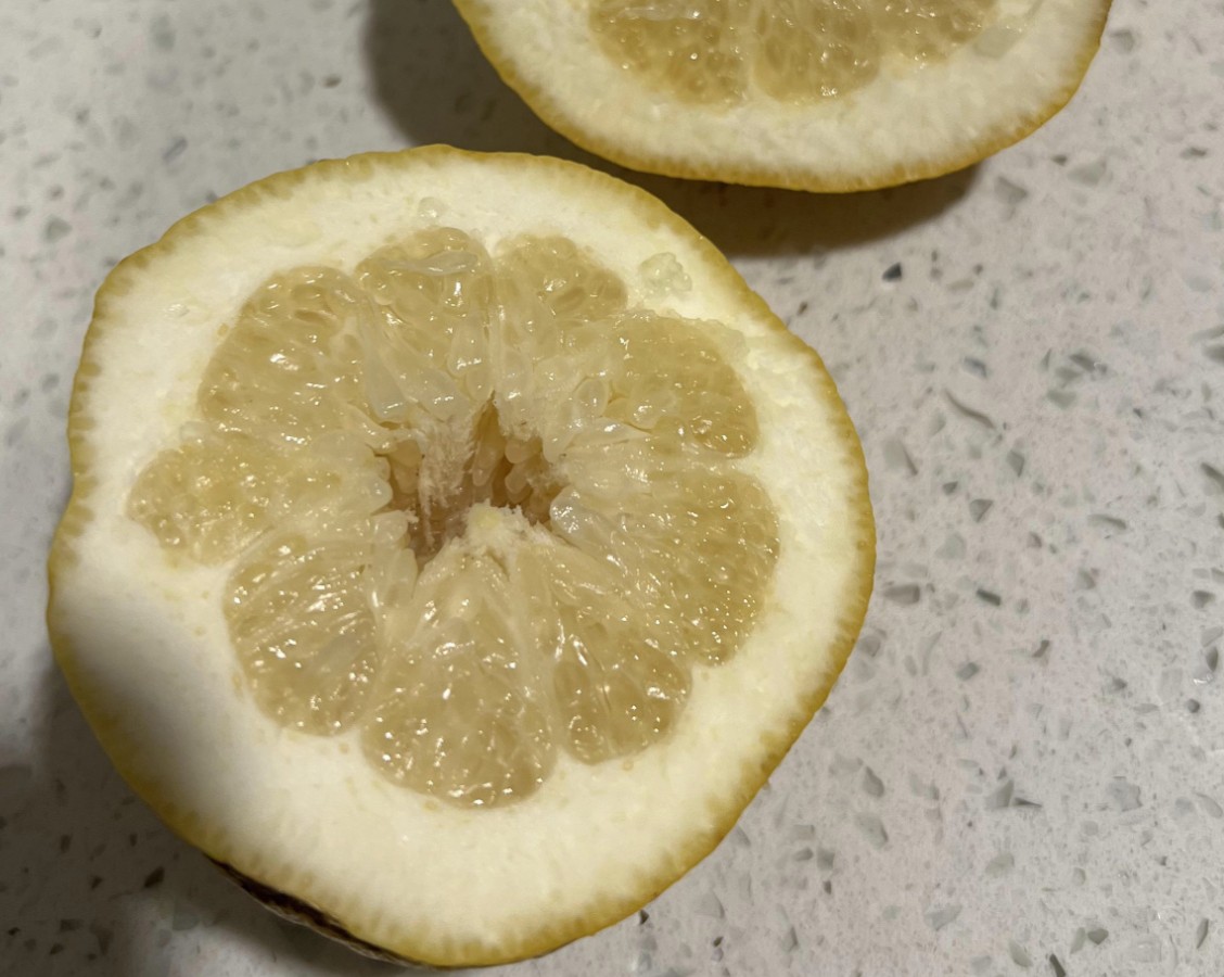 sliced lemon