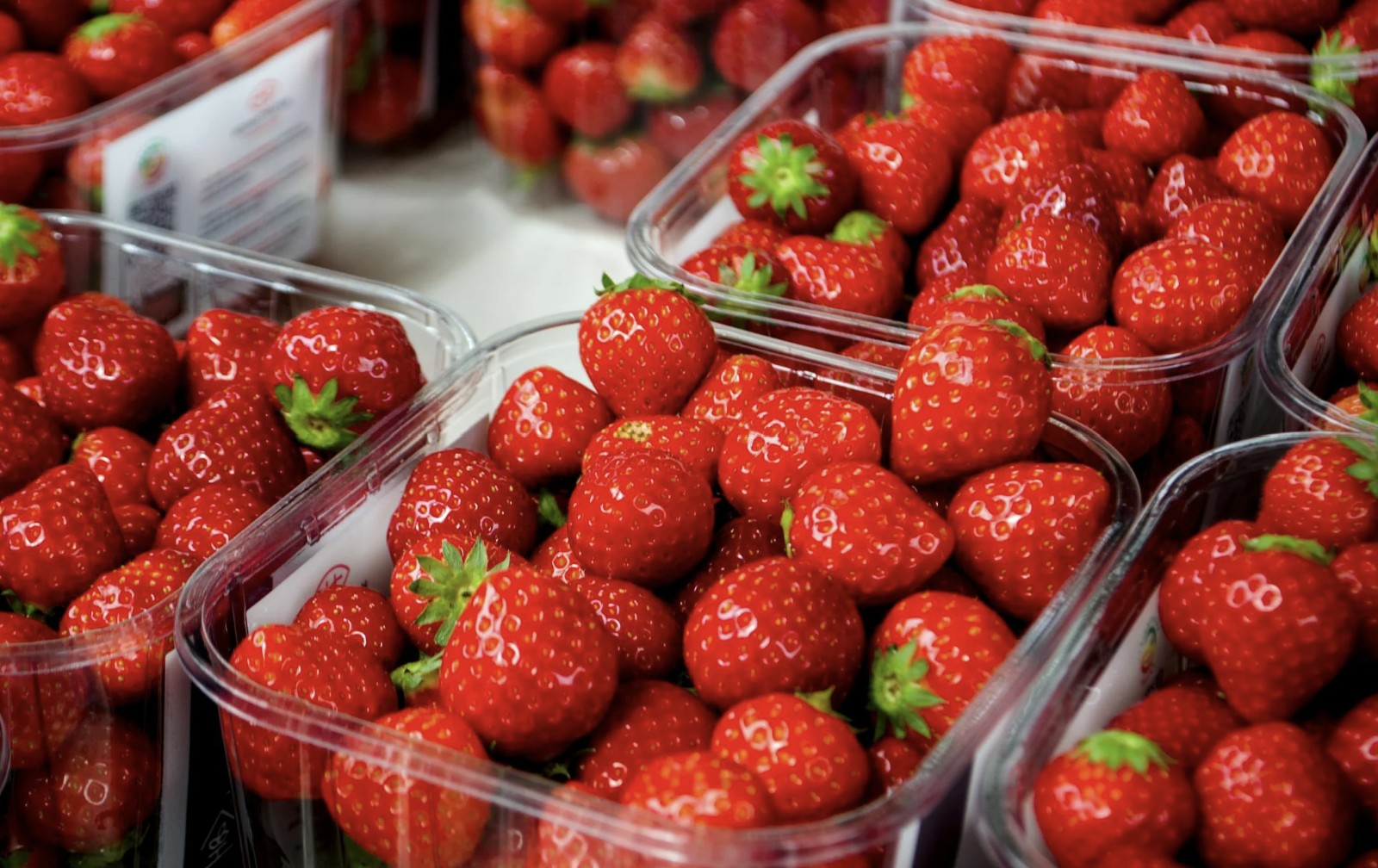 freeze strawberries