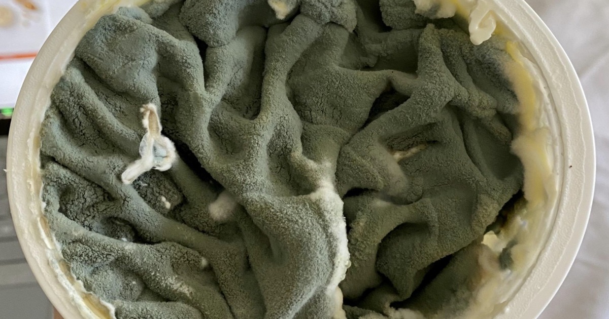 Can You Eat Moldy Cream Cheese?