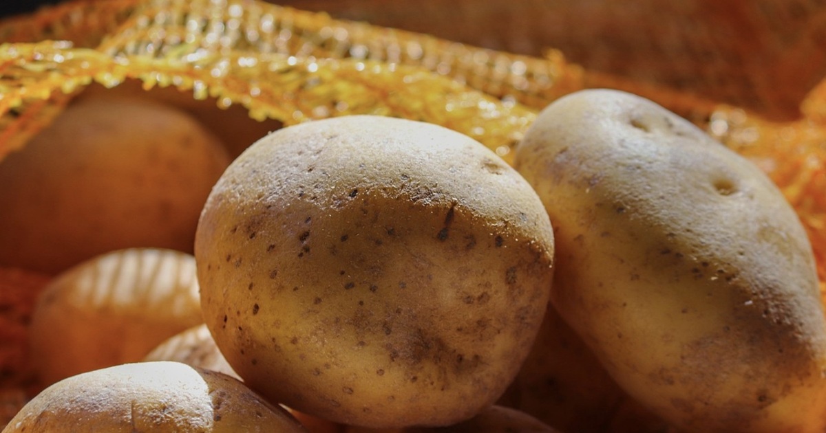 What You Shouldn’t Store With Potatoes: Common Storage Mistakes