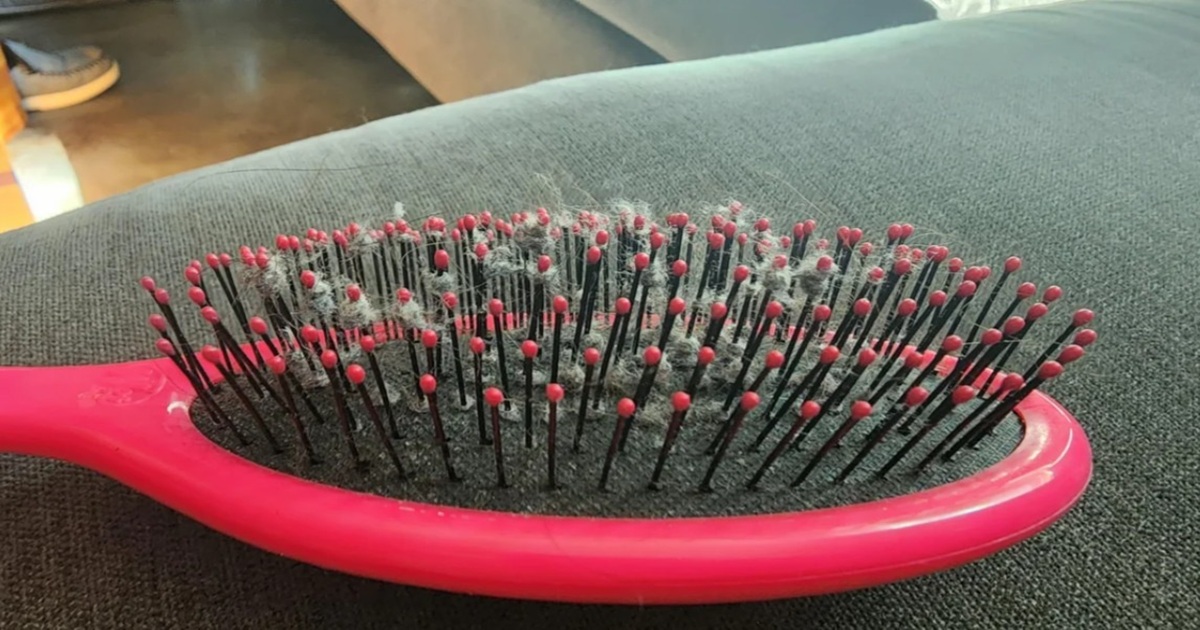 What Is the Gray Fuzz on Your Hairbrush?
