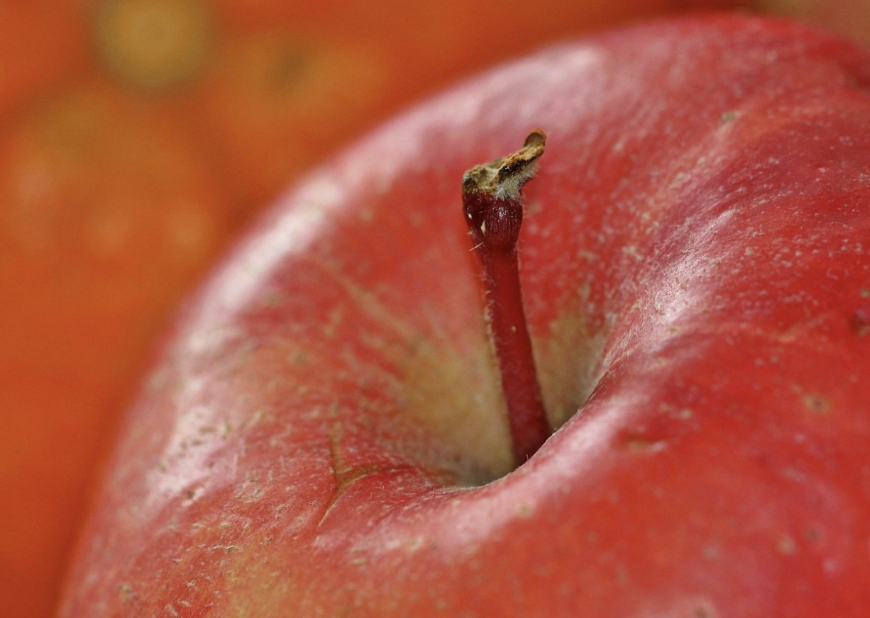 a red apple