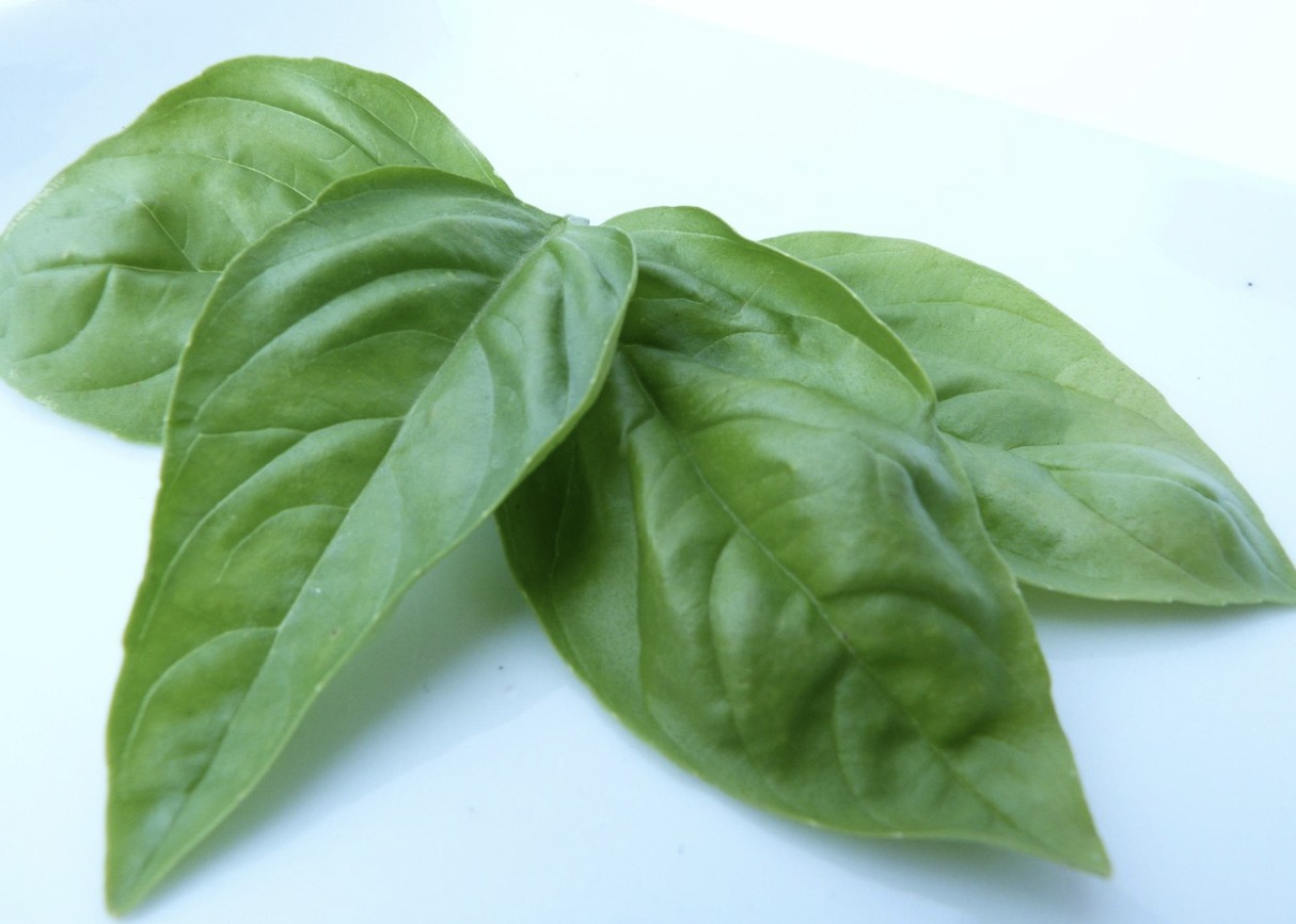 basil leaves