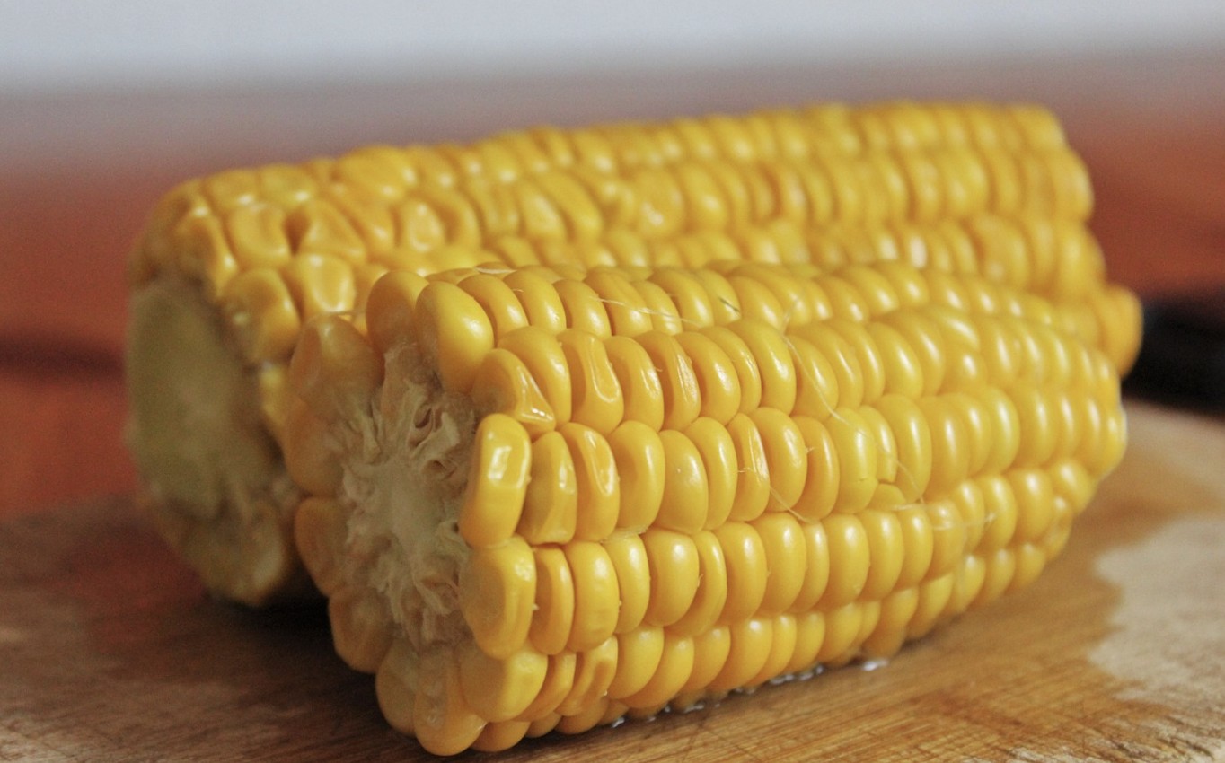 corn on a cob