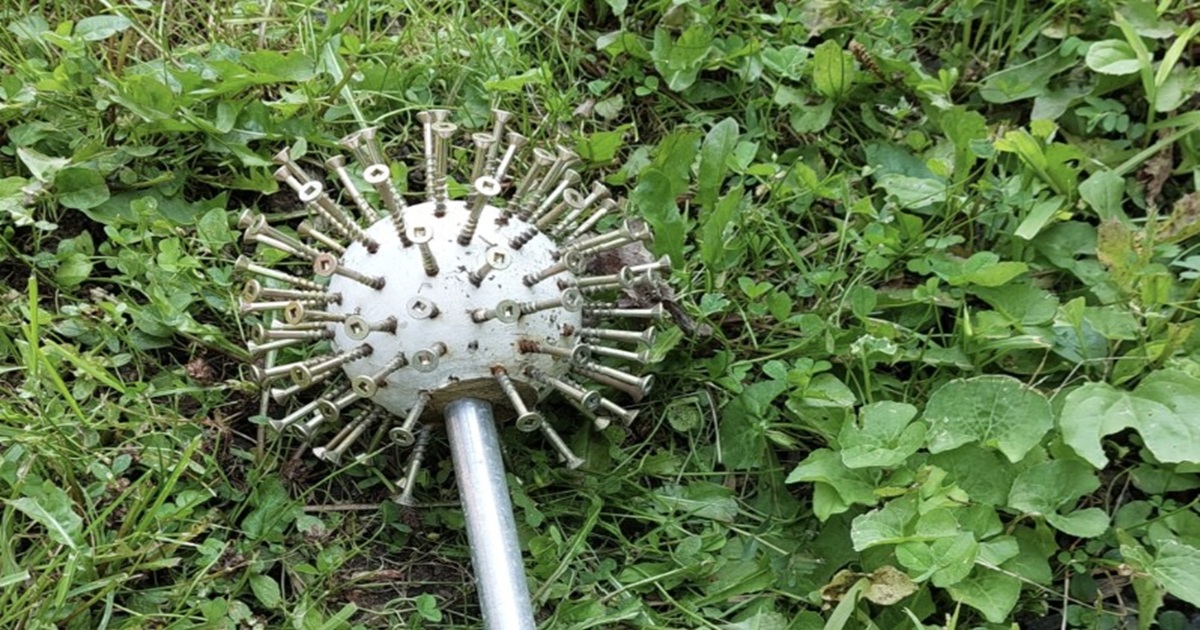 The Mystery of the Homemade Mace in the Bushes