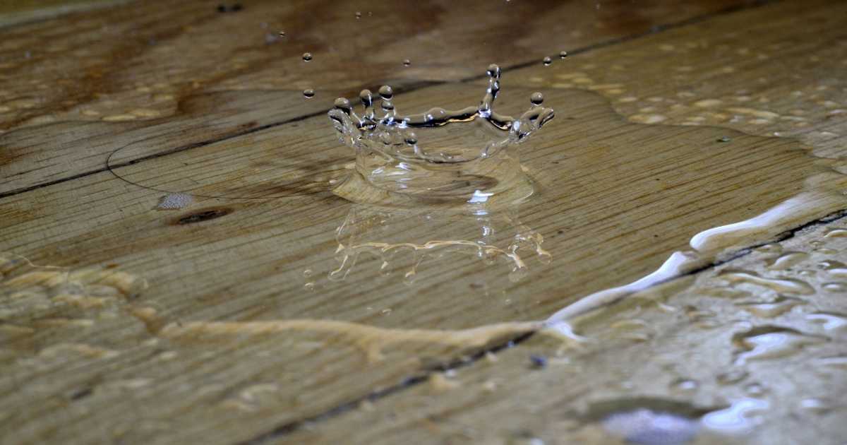 Hidden Water Pathways: Where Flooding Really Starts