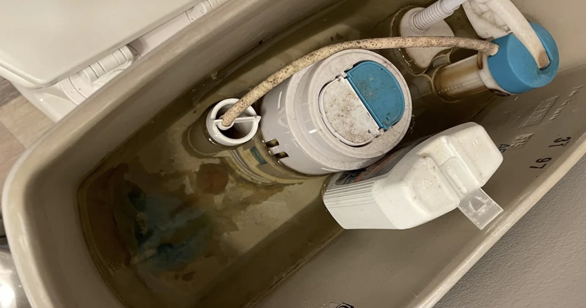 What to Do When Your Toilet Refills Itself Without Flushing